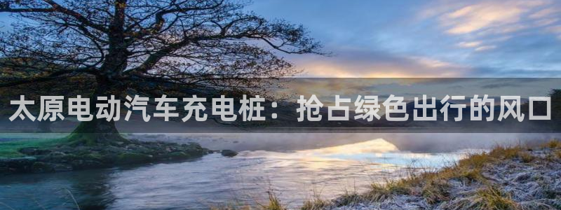 威廉希尔怎么样：太原电动汽车充电桩：抢占绿色出行的风口