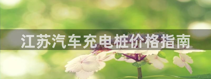 威廉希尔可以在国内用吗：江苏汽车充电桩价格指南