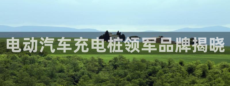 威廉希尔 1.95 3.20 3.50：电动汽车充电桩领军品牌揭晓
