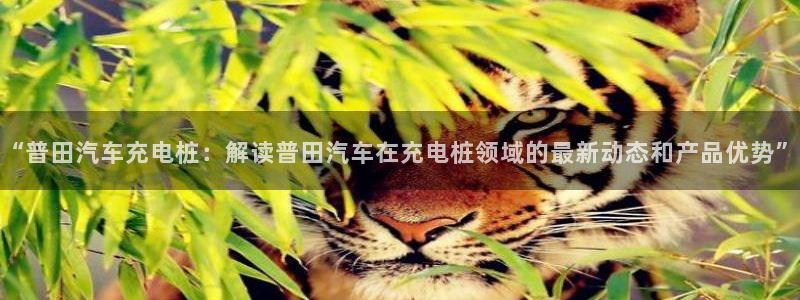 威廉希尔年销售总额：“普田汽车充电桩：解