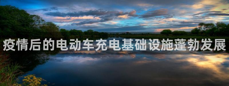 威廉希尔在中国怎么买房子：疫情后的电动车充电基础设施蓬勃发展