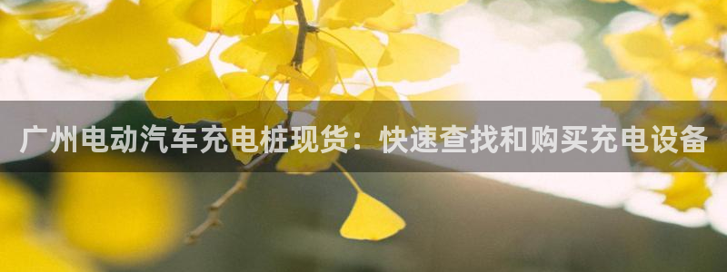 威廉希尔官网地址：广州电动汽车充电桩现货