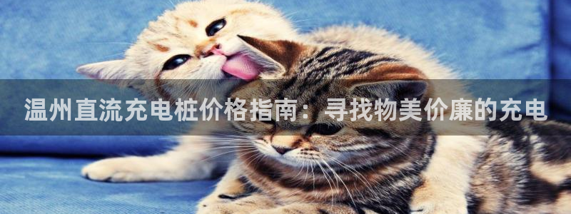 威廉希尔提现：温州直流充电桩价格指南：寻找物美价廉的充电
