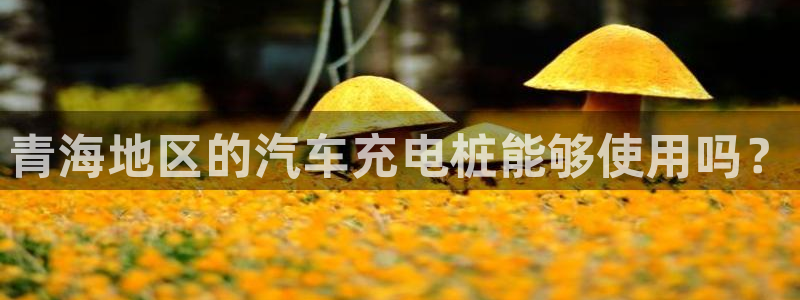 威廉希尔必发欧赔：青海地区的汽车充电桩能