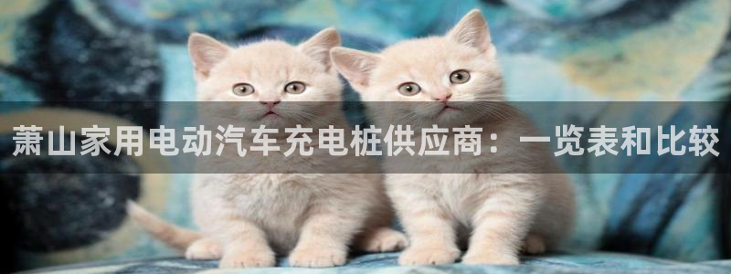 威廉和澳门：萧山家用电动汽车充电桩供应商：一览表和比较
