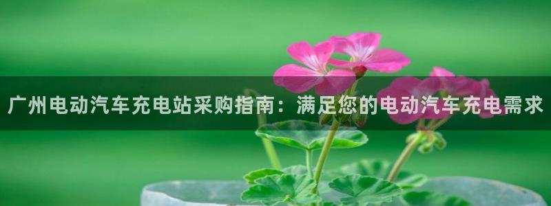 威廉客户端app下载官网：广州电动汽车充电站采购指南：满足您的电动汽车充电需求
