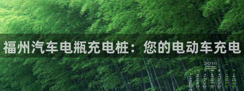 威廉希尔在国内怎么用：福州汽车电瓶充电桩