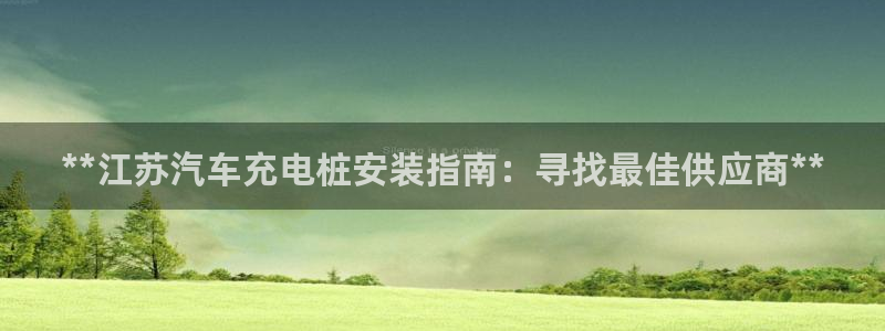 威廉国际ktv：**江苏汽车充电桩安装指南：寻找最佳供应商**