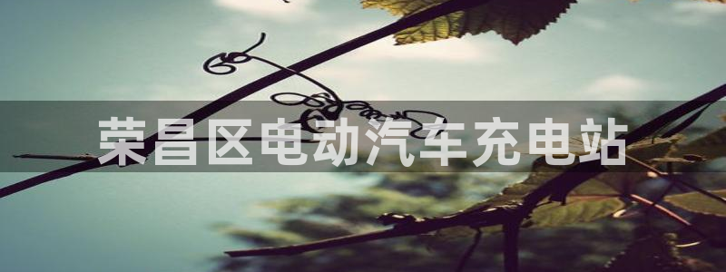 威廉希尔美国控股：荣昌区电动汽车充电站