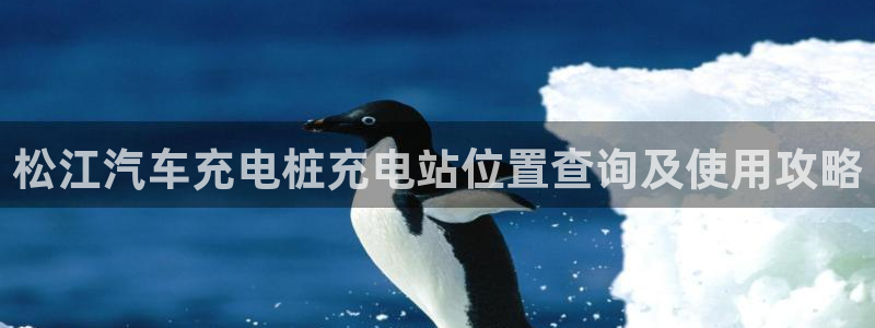 威廉希尔有app吗：松江汽车充电桩充电站位置查询及使用攻略