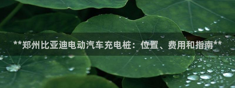 威廉希尔跑路了吗：**郑州比亚迪电动汽车充电桩：位置、费用和指南**