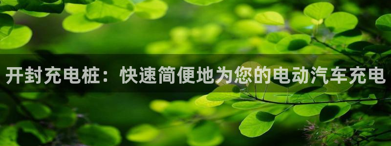 威廉希尔94体系标准盘：开封充电桩：快速简便地为您的电动汽车充电