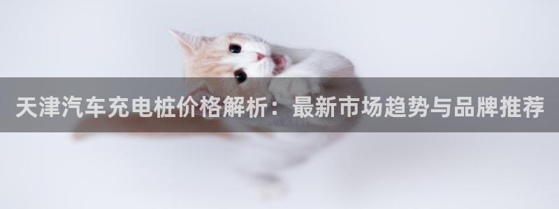 威廉足球 厉害吗：天津汽车充电桩价格解析：最新市场趋势与品牌推荐