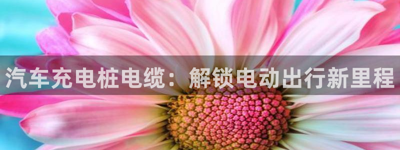 威廉希尔俱乐部：汽车充电桩电缆：解锁电动