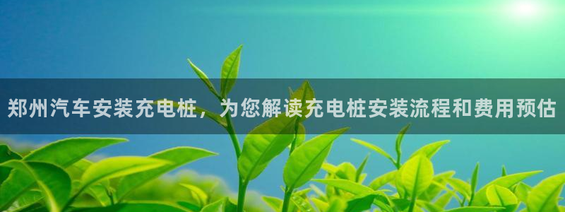 威廉希尔的分析方法2：郑州汽车安装充电桩，为您解读充电桩安装流程和费用预估