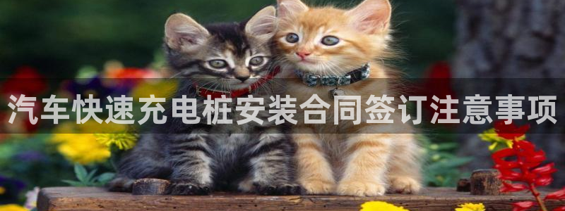 威廉希尔年度体育图书大奖：汽车快速充电桩安装合同签订注意事项