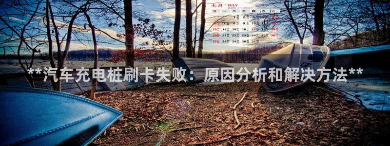 英国威廉希尔公司代理：**汽车充电桩刷卡失败：原因分析和解决方法**