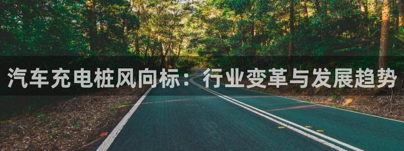 威廉希尔浏览器5.5.2：汽车充电桩风向标：行业变革与发展趋势