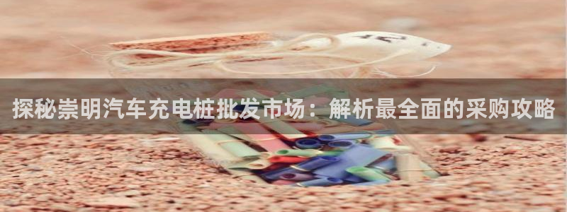 威廉希尔在中国有没有平台公司：探秘崇明汽