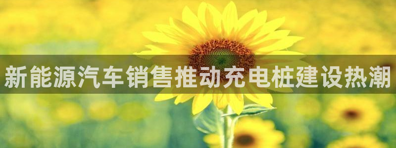 威廉希尔官网哪里有：新能源汽车销售推动充电桩建设热潮