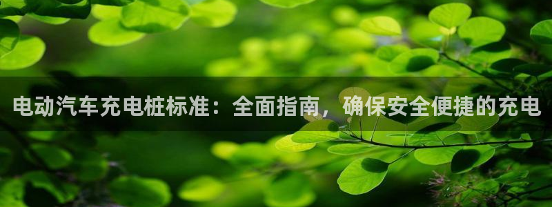 威廉希尔平台玩不给出款的问题：电动汽车充电桩标准：全面指南，确保安全便捷的充电
