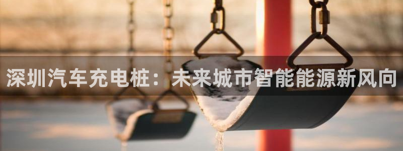 威廉希尔让球胜负平：深圳汽车充电桩：未来