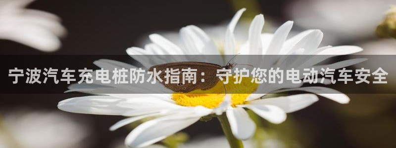 威廉国际平台：宁波汽车充电桩防水指南：守