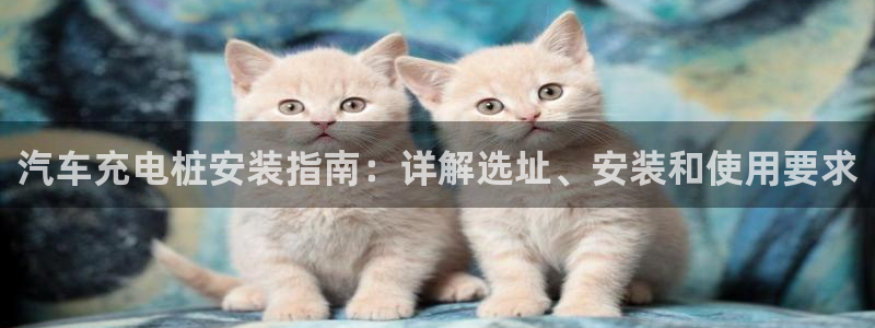 威廉希尔黑钱：汽车充电桩安装指南：详解选