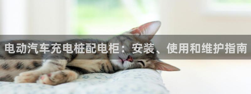 威廉希尔中国注册：电动汽车充电桩配电柜：