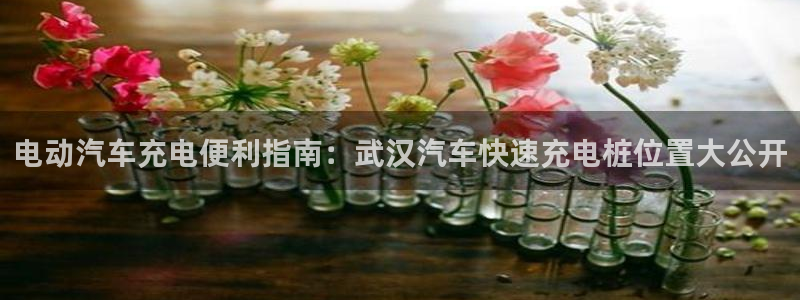 威廉希尔母公司：电动汽车充电便利指南：武