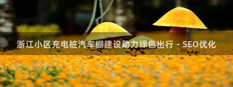 威廉希尔 1.65 4.20 4.00