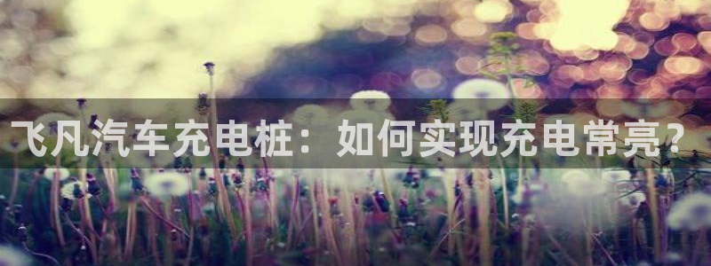 威廉希尔足球分析师怎么样：飞凡汽车充电桩：如何实现充电常亮？