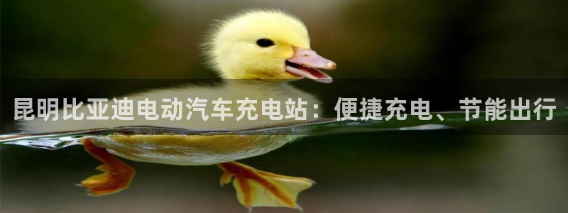 williamhill威廉希尔官网简介：昆明比亚迪电动汽车充电站：便捷充电、节能出行