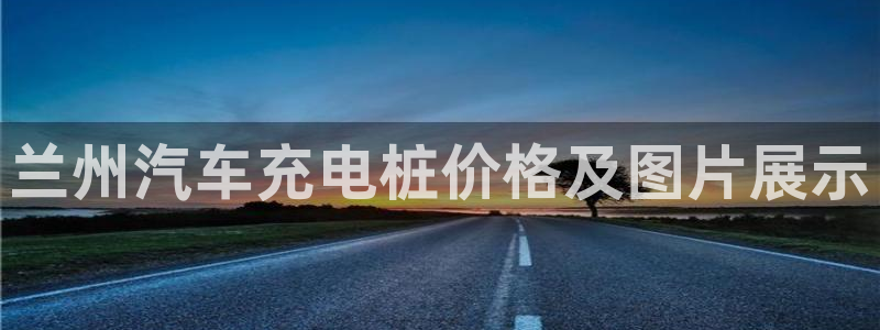 威廉希尔大小球：兰州汽车充电桩价格及图片展示