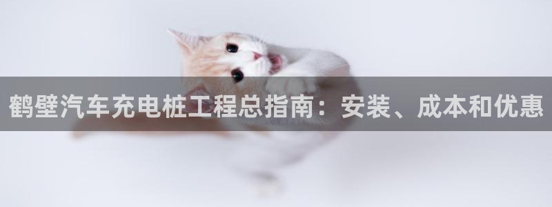 日乙威廉希尔：鹤壁汽车充电桩工程总指南：
