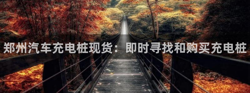 威廉希尔的特点：郑州汽车充电桩现货：即时寻找和购买充电桩