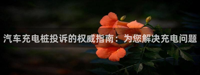 威廉希尔500欧洲：汽车充电桩投诉的权威指南：为您解决充电问题