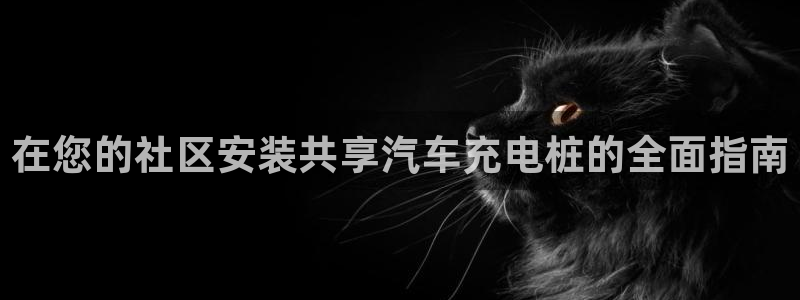 威廉港足球俱乐部：在您的社区安装共享汽车充电桩的全面指南