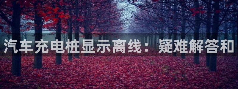 威廉希尔总部：汽车充电桩显示离线：疑难解