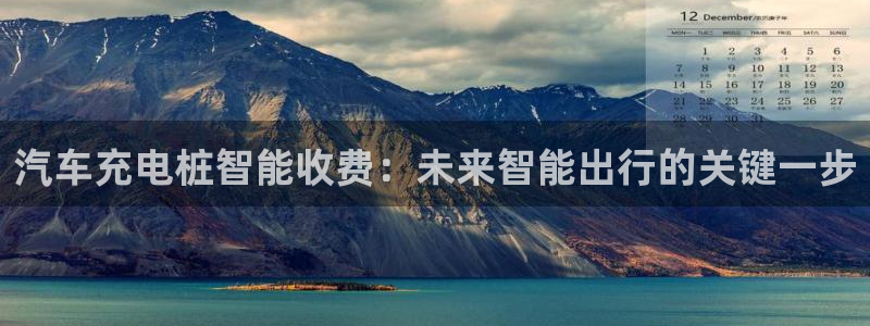 威廉希尔与立博对比分析：汽车充电桩智能收费：未来智能出行的关键一步