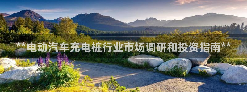 威廉希尔立博相同项：**电动汽车充电桩行