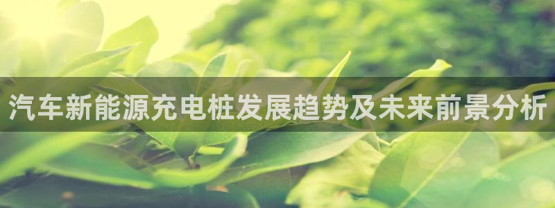 从威廉希尔和立博看平局：汽车新能源充电桩