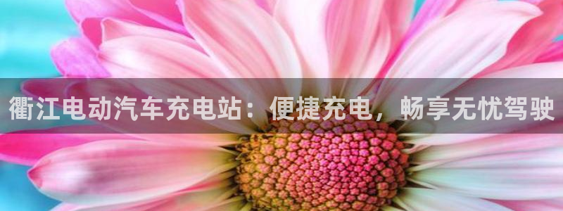 威廉希尔体育app官网：衢江电动汽车充电