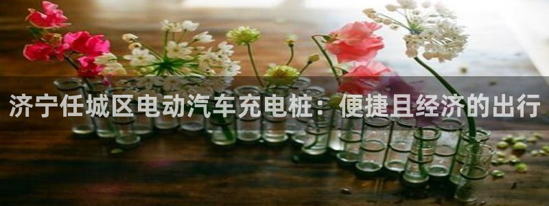 威廉希尔和立博欧赔：济宁任城区电动汽车充